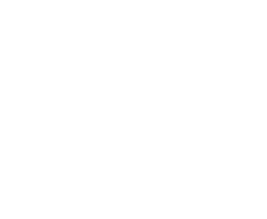 Vector