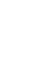 Vector