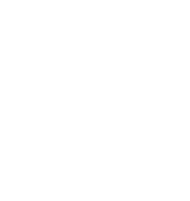 Vector